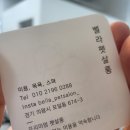 벨라펫살롱 이미지