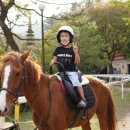 가래골농장 이미지