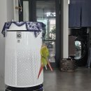 베스트힐링의원 | 임신준비 일기 7] 아파서 허리 굽은 할무니가 되어버렷.. 시험관 난자 채취 후기 #난임일기 #시험관일기