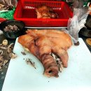 대박집 앞 | [호남대박집] 탑골공원 국밥거리 돼지국밥 맛집 내돈내산 후기