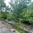 은하수 관광농원 이미지