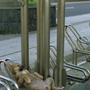 개팔자상팔자 이미지