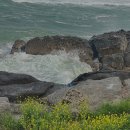 영일대 센텀모텔 이미지