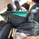 용인자연숲캠핑장 이미지