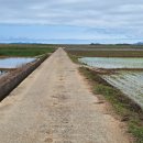 고흥군남양면망주보건진료소 | 남파랑길 64코스 (전남 고흥군)