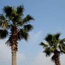 대광낚시터 이미지