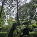 아리산