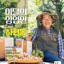 김양수농장 뉴시스