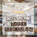 렉돌 냥이 | 일산실내데이트 하기 좋은 라페스타 근처 예쁜고양이카페 냥이시대 방문후기