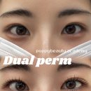 펫타고 | [대구 동구 속눈썹펌] 함몰형 눈매 유형 전문가 드림롯드 듀얼펌 수강 전문가 후기