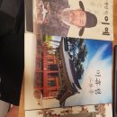 안개꽃정원
