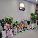 넘버원공인중개사사무소 이미지