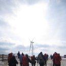 동양목초 이미지