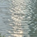 박용철 전집 시집 이미지