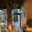 어나더 Another | [발산역 카페] 도심 속 숲속 힐링 명소, '어나더사이드(ANOTHER SIDE)' 솔직 후기 🌿☕