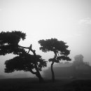 사랑목장2 이미지