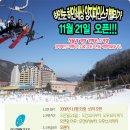 양지-21 이미지