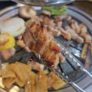 벙개오돌뼈구이 | 여수웅천 돼지고기 조개구이 푸짐한 한상 생삼겹살 맛집 뚱뚱조개