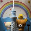 아주-0045 이미지