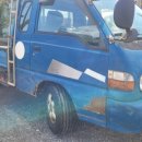 지니카센타 이미지