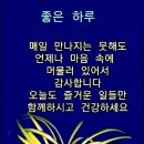 🌋50년 경력 흉부외과 심장 전문의사의 솔직한 한마디🌋 이미지