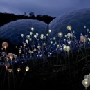 빛의 정원 - 20 이미지