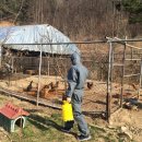 대덕가축 이미지