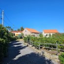 에이쉘인제주 | 제주 감귤체험 서귀포 제주에인 귤따기체험