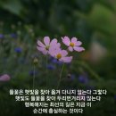 더수다카페 - 93645 | 더수다카페