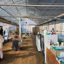 찬우농장 이미지