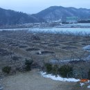 덕의농장 이미지