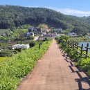 국화낚시터 이미지