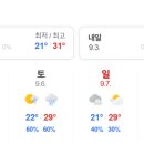자라섬 주차장 네이버블로그