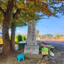 일광1리 이미지