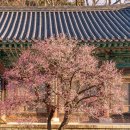 호암미술관 이미지