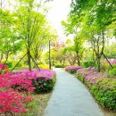 라온채공인중개사사무소 이미지