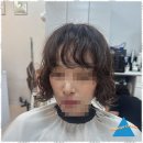 다시봄날 헤어 이미지