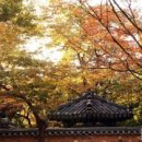 꼴통 - 영등포구 경인로 843 | 꼴통