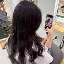 살롱엘(salon L)