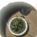 시립배곧이지더원2차어린이집 | 배곧동 싱크대막힘 하수구막힘 변기막힘은 확실한 전문업체에게 맡겨주세요.