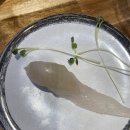 유태우스시 이미지