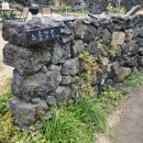 느릅낭집 이미지