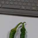 타이어타운 송학점 이미지