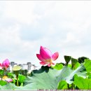 꽃밥멧밥 / 이상국 이미지