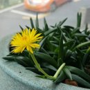 정일품고시원