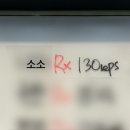 748 | 250317 크로스핏 748회차 후기 [open 25.3 : wall walk, row, deadlift, clean, snatch] / 드디어 해...