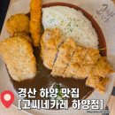 고씨네카레 하양점 | 경산 하양 맛집 "고씨네카레 하양점" 대가대 근처 점심 버섯 카레 스페셜 카레 후기 주차 영업시간 안내