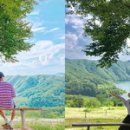 스위스목장 이미지