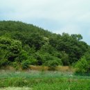 공주시이인면신흥보건진료소 이미지