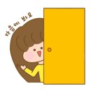 블라인드커튼소신